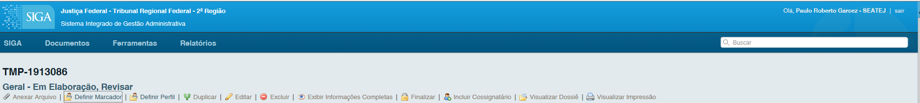 ../../_images/novo-documento-temporario.png