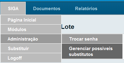 ../../_images/substituicao-gerenciar-menu.png